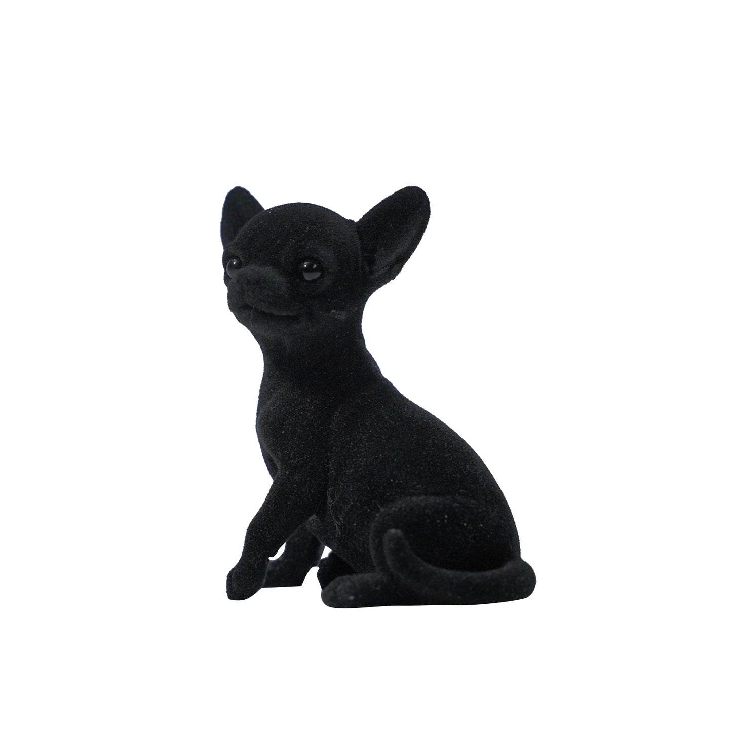 JXK2034   チワワ     JXK Studio出品