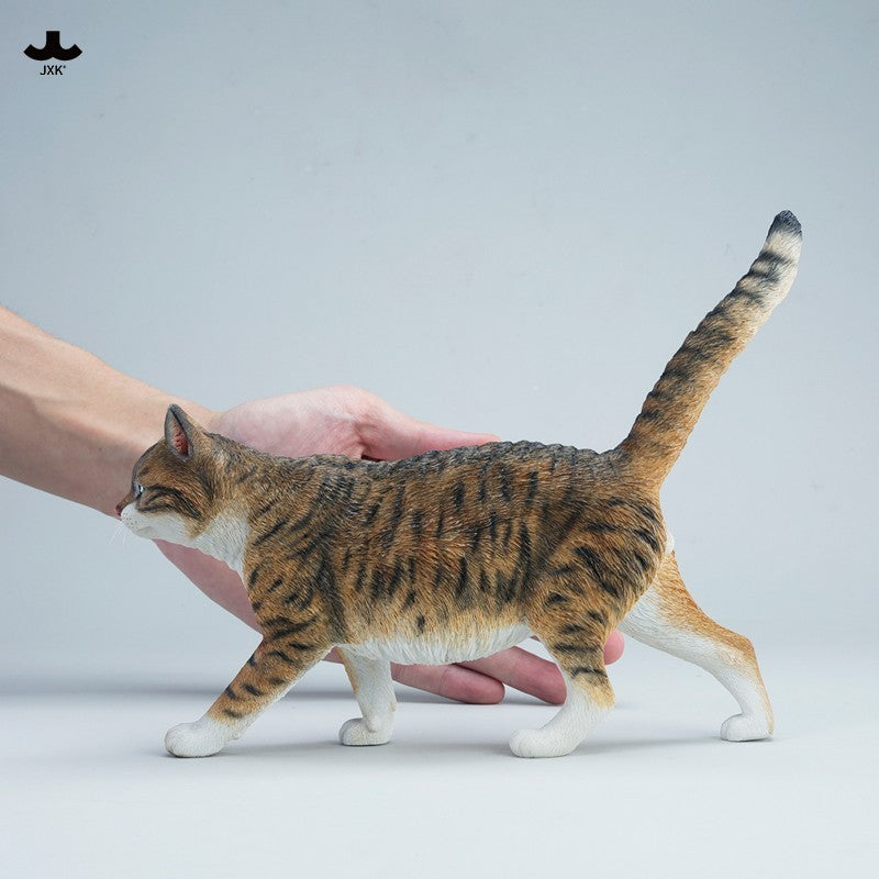 JXK347 1/3 中華田園猫