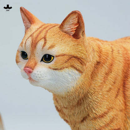 JXK347 1/3 中華田園猫