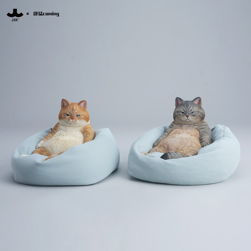 JXK353 午後のまったり猫