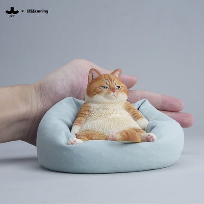 JXK353 午後のまったり猫