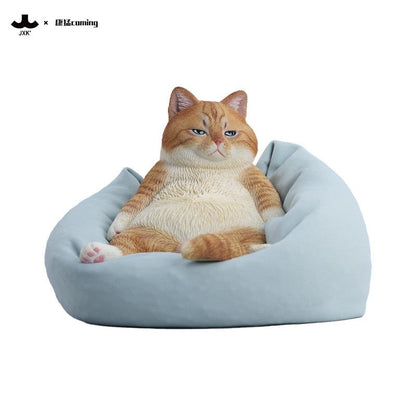 JXK353 午後のまったり猫