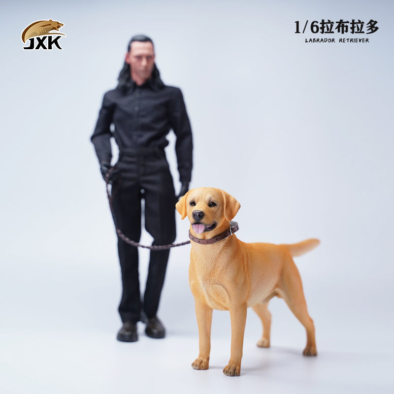 JXK 089 1/6 Labrador