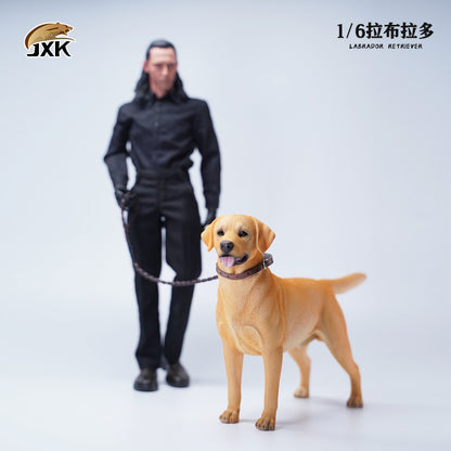 JXK 089	1/6 ラブラドル JXK Studio出品