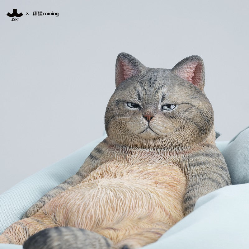 JXK353 午後のまったり猫