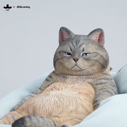 JXK353 午後のまったり猫