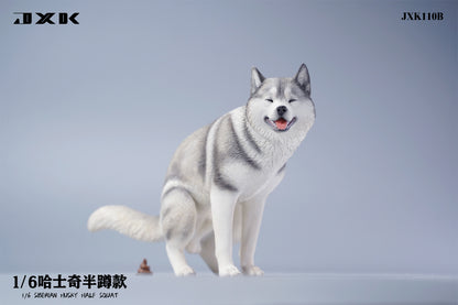 JXK Husky Uncomfortable