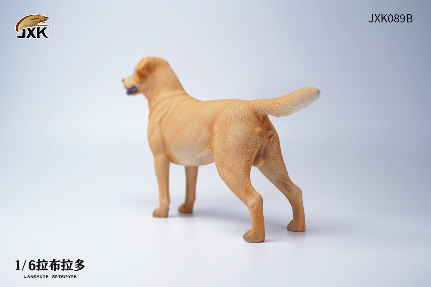 JXK 089 1/6 Labrador