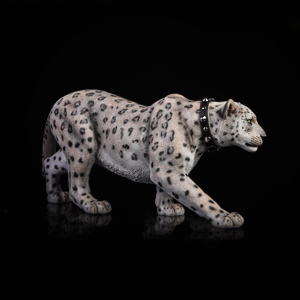 *JXK Jagar Snow Leopard Black Leopard