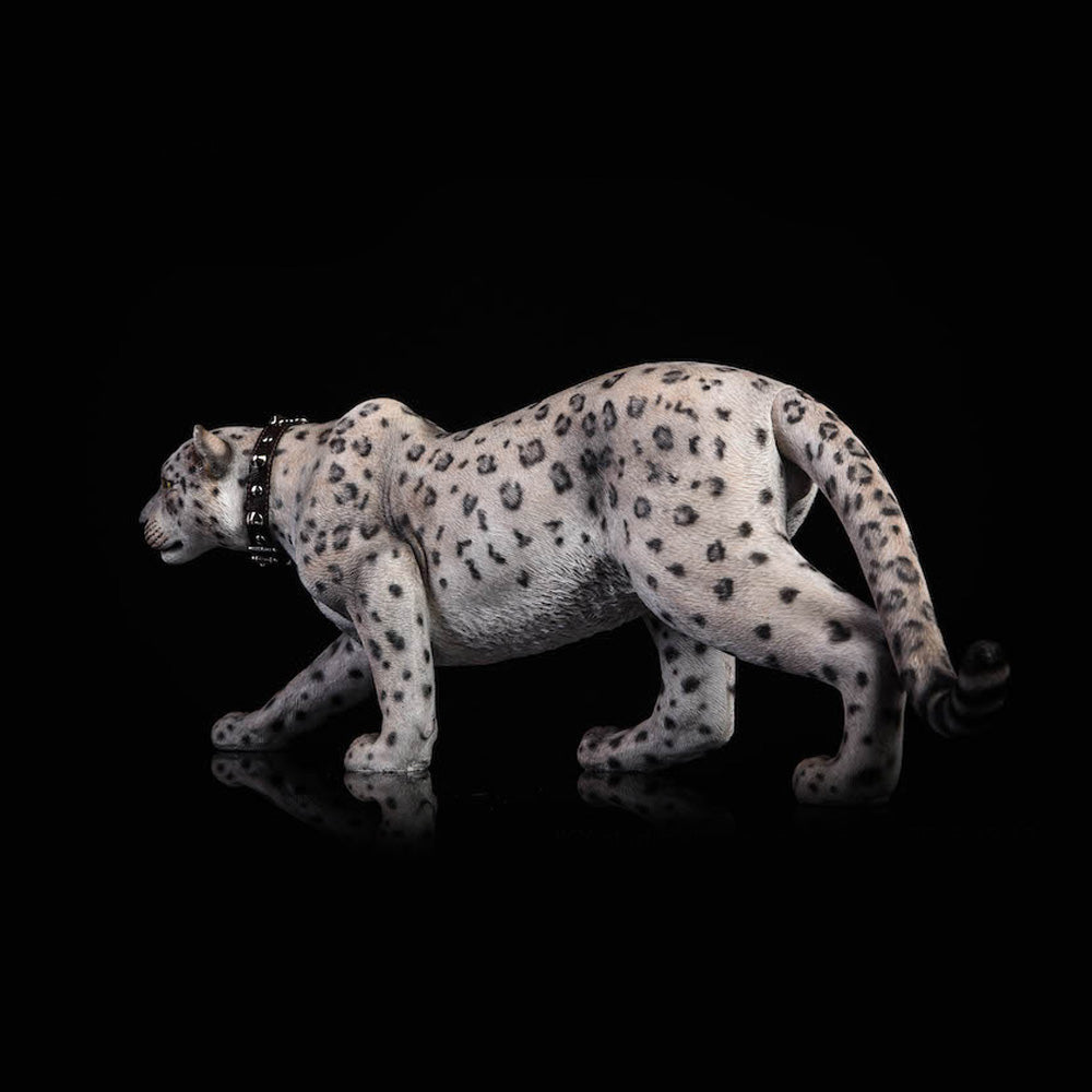 *JXK Jagar Snow Leopard Black Leopard