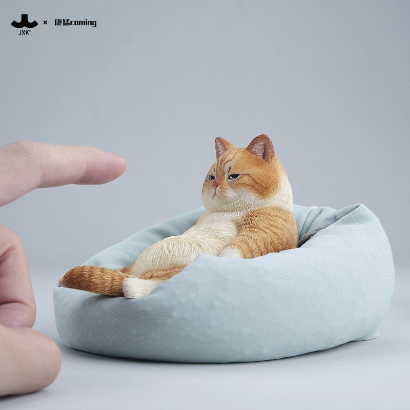 JXK353 午後のまったり猫
