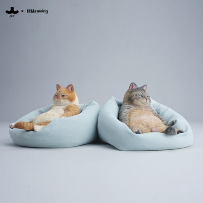 JXK353 午後のまったり猫