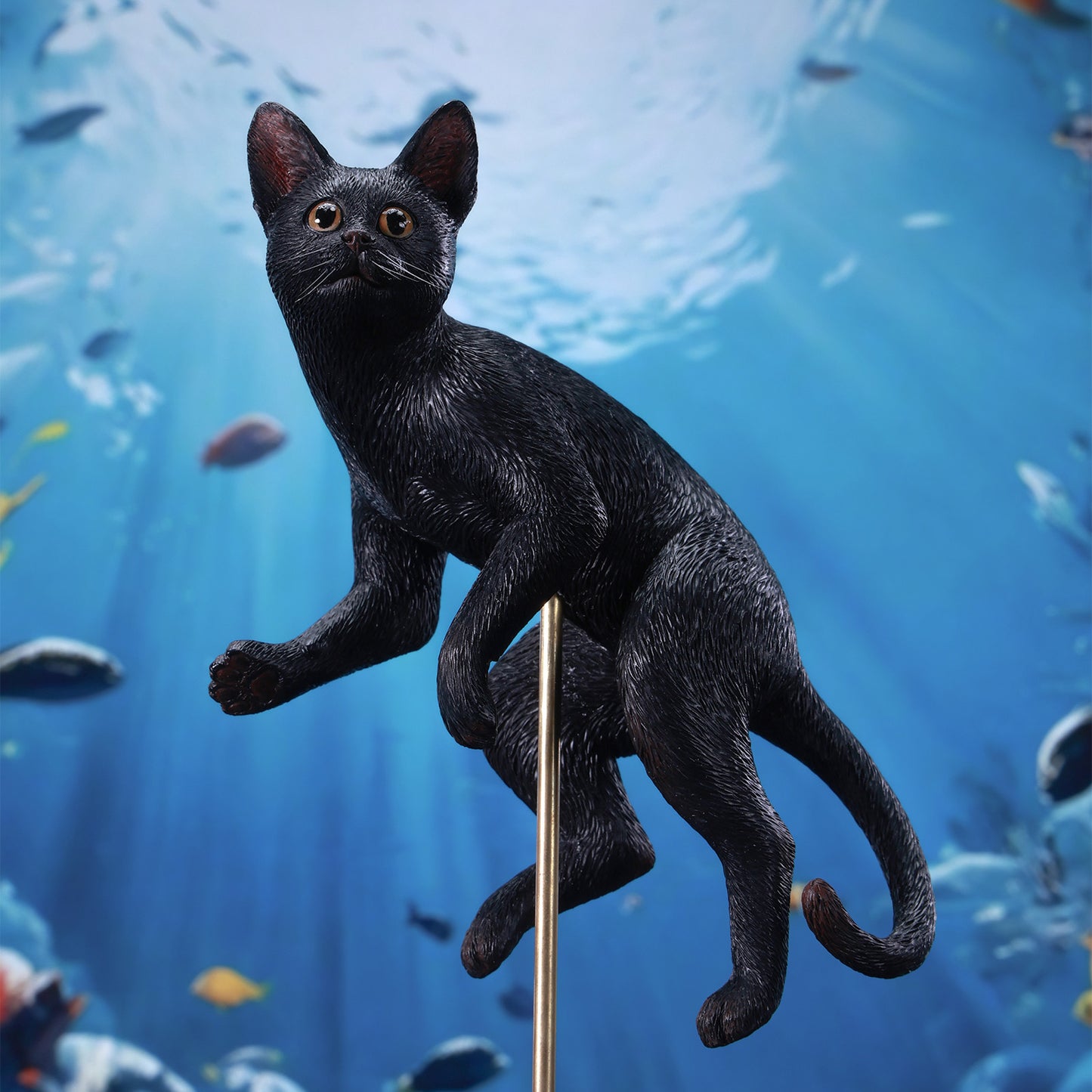JXK309　ぱちゃぱちゃ猫　【予約】　JXK Studio出品