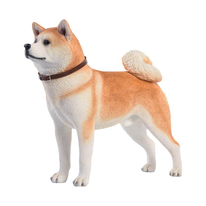 JXK Akita