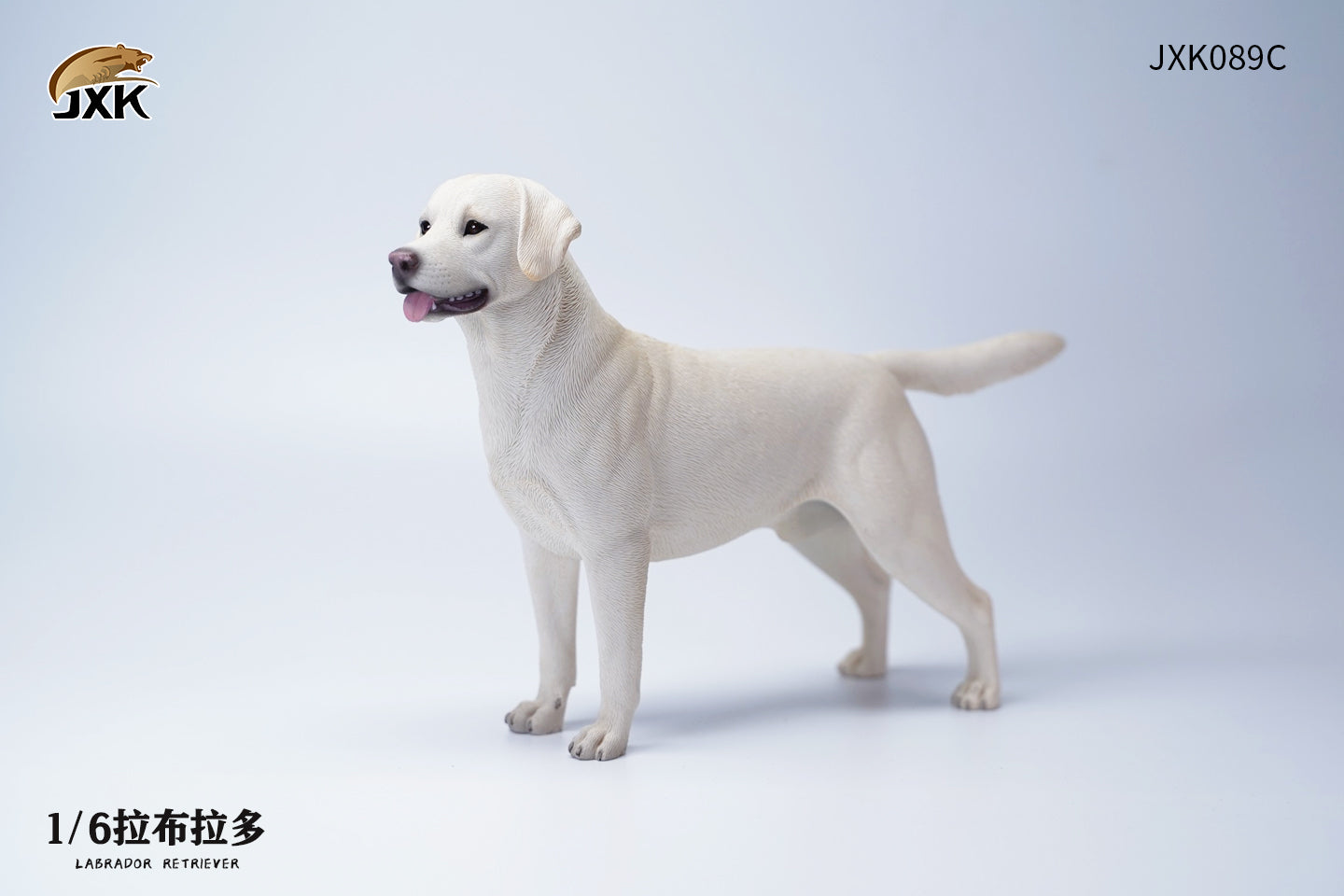 JXK 089 1/6 Labrador