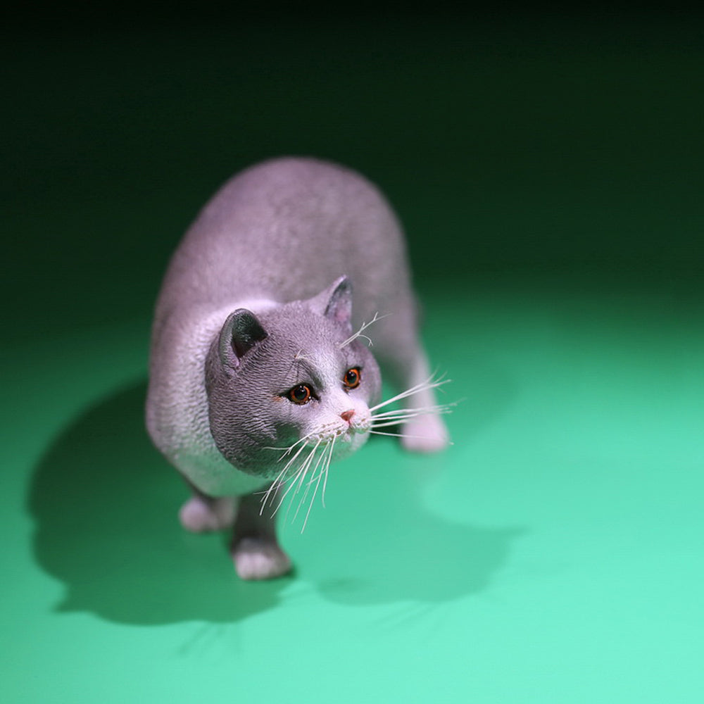 Mr.Z MRZ040 1/6 ブリティッシュショートヘア 樹脂フィギュア（全6種） 商品画像
