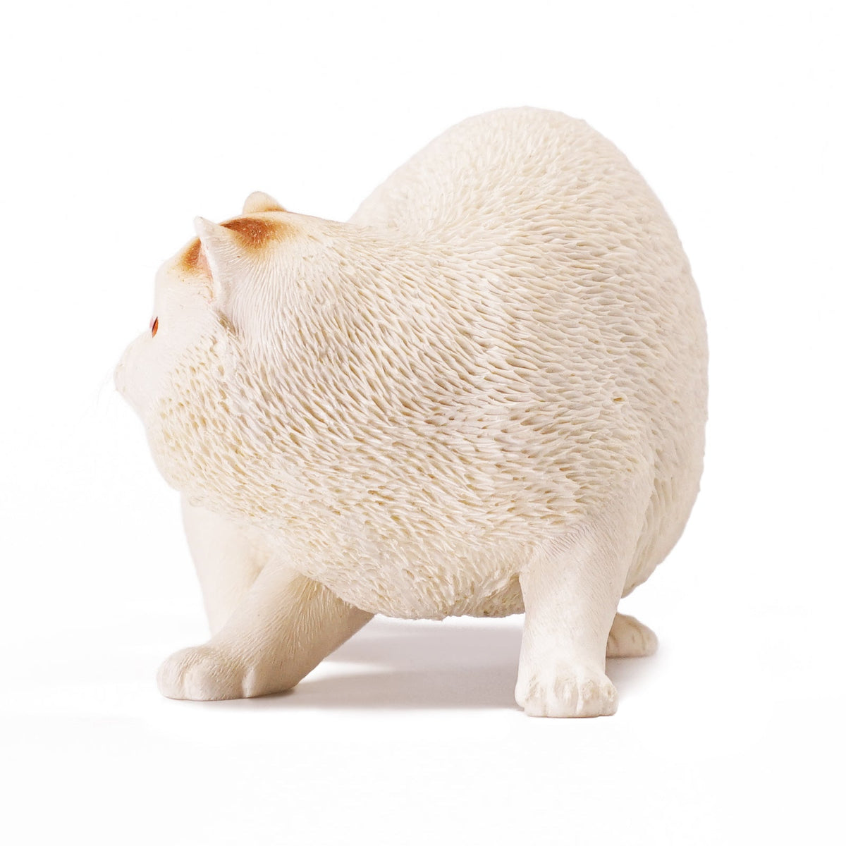 Mr.Z MRZ039 1/6 エキゾチックショートヘア 樹脂フィギュア（全6種） 商品画像