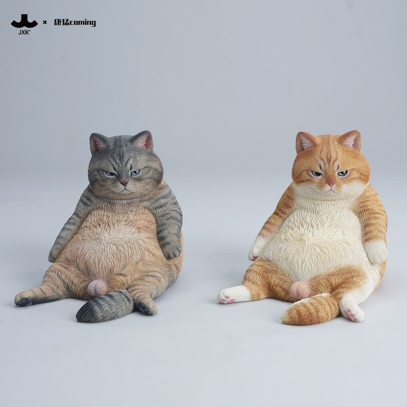 JXK353 午後のまったり猫