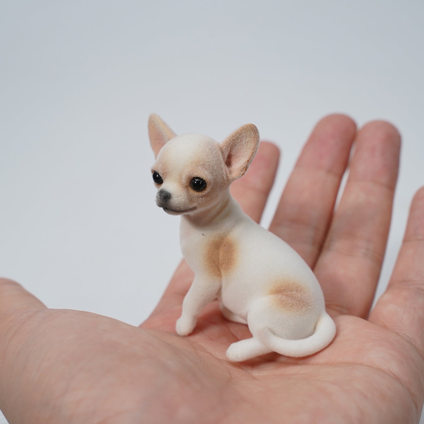 JXK2034   チワワ     JXK Studio出品