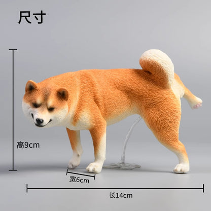 JXK 054 柴犬おしっこする姿 JXK Studio出品