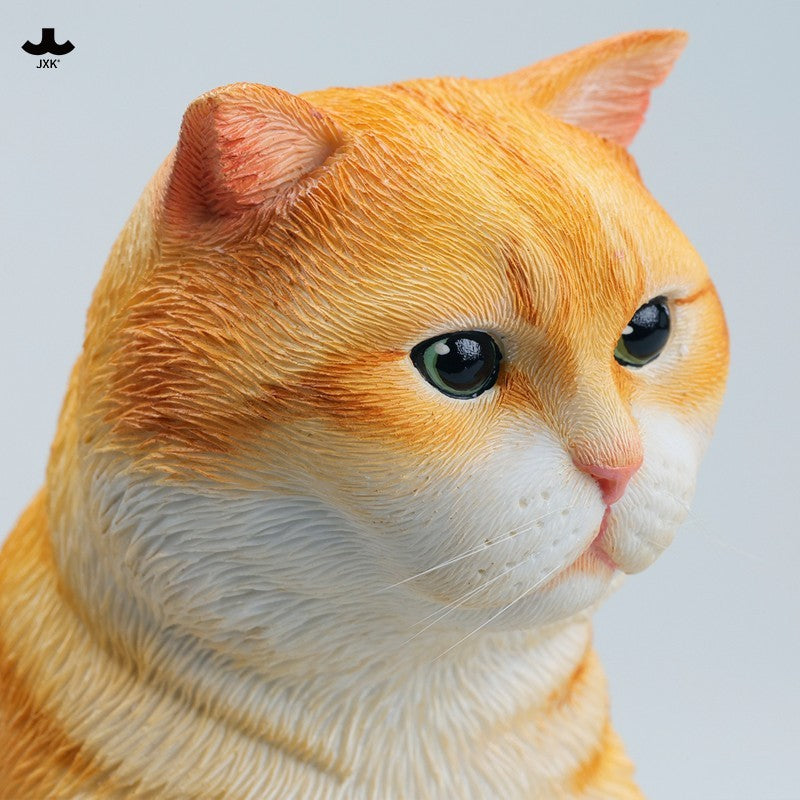 JXK356 1/3 ぼんやりおすわり猫