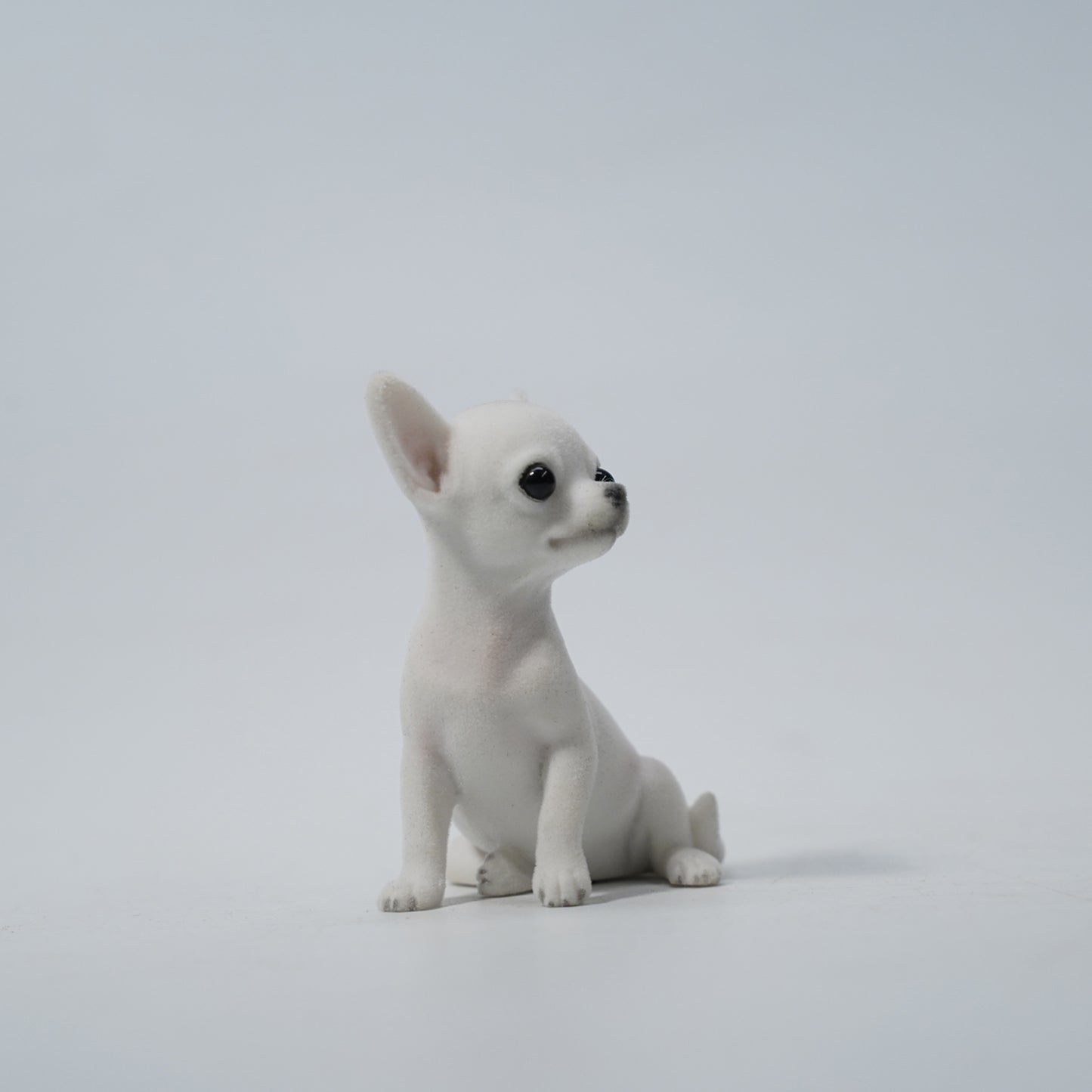 JXK2034   チワワ     JXK Studio出品