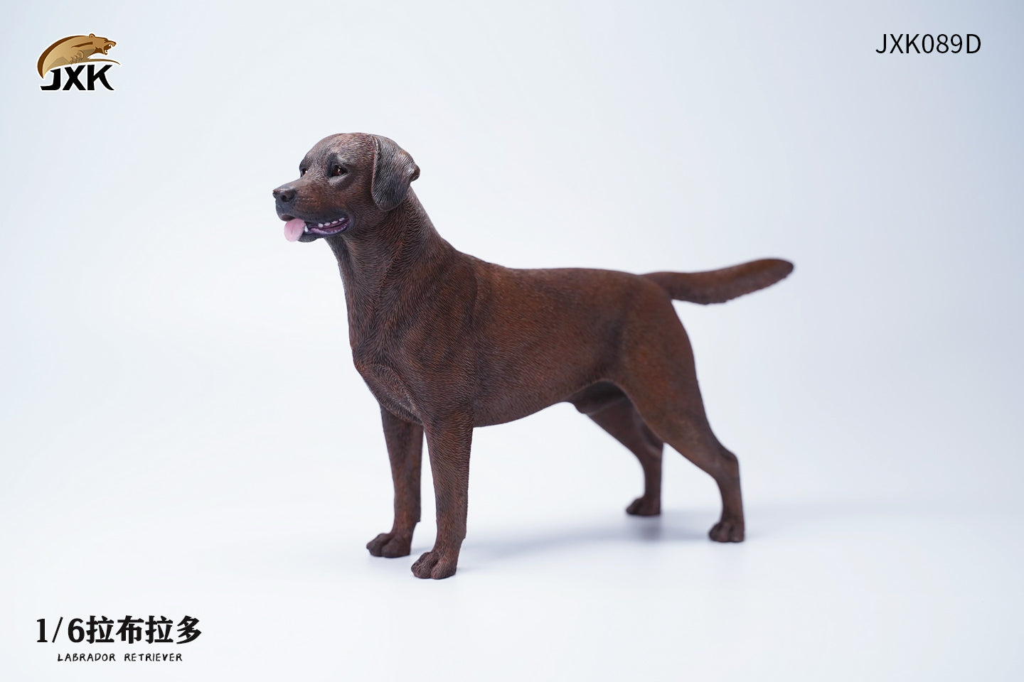 JXK 089 1/6 Labrador