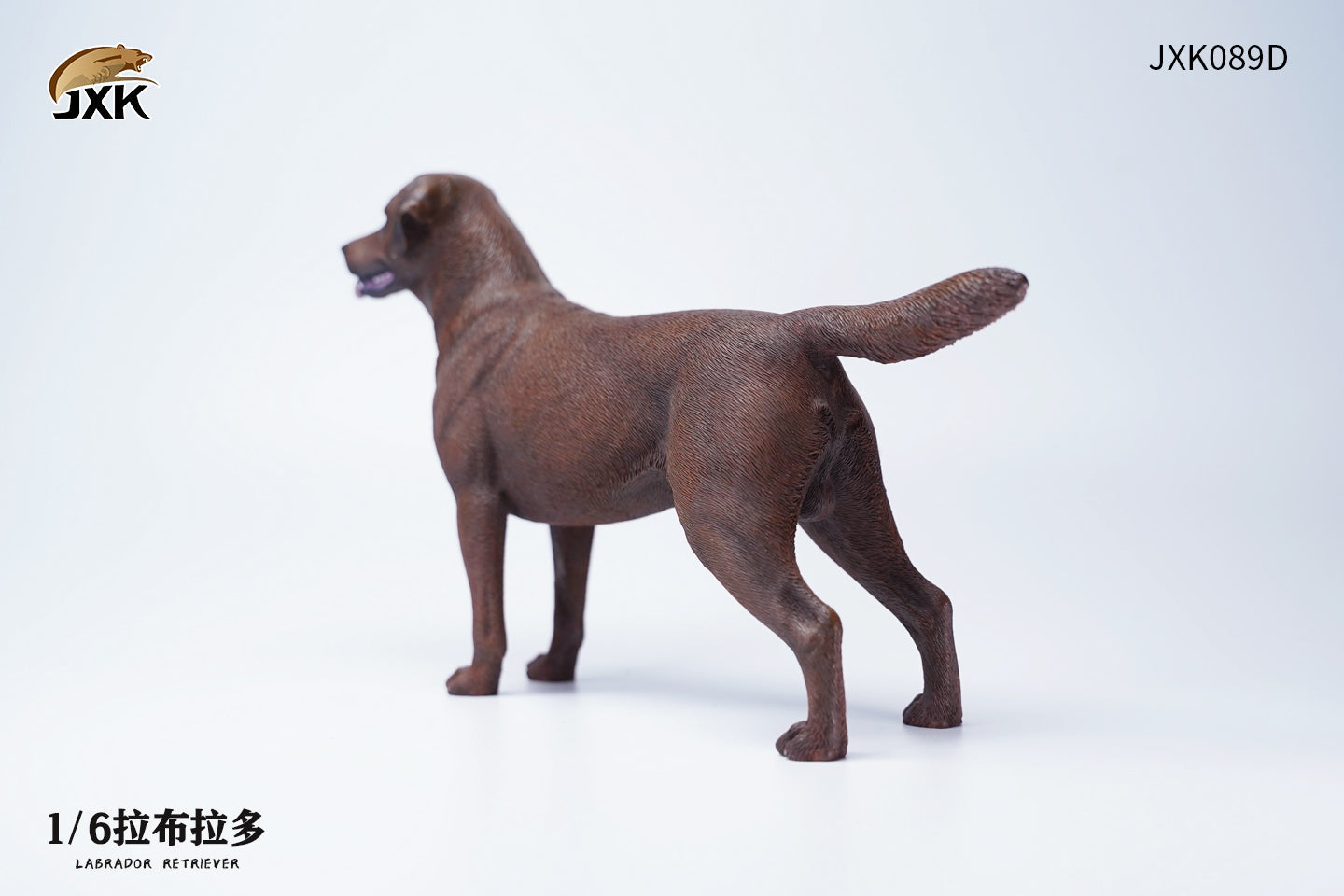 JXK 089 1/6 Labrador