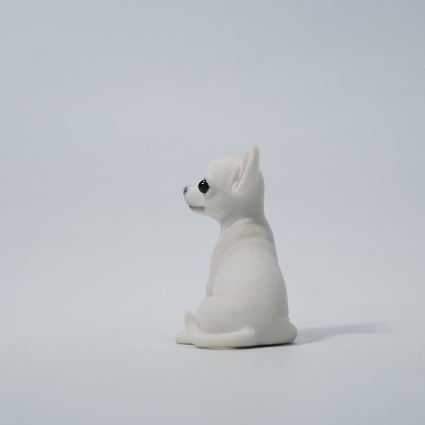 JXK2034   チワワ     JXK Studio出品