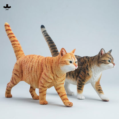 JXK347 1/3 中華田園猫