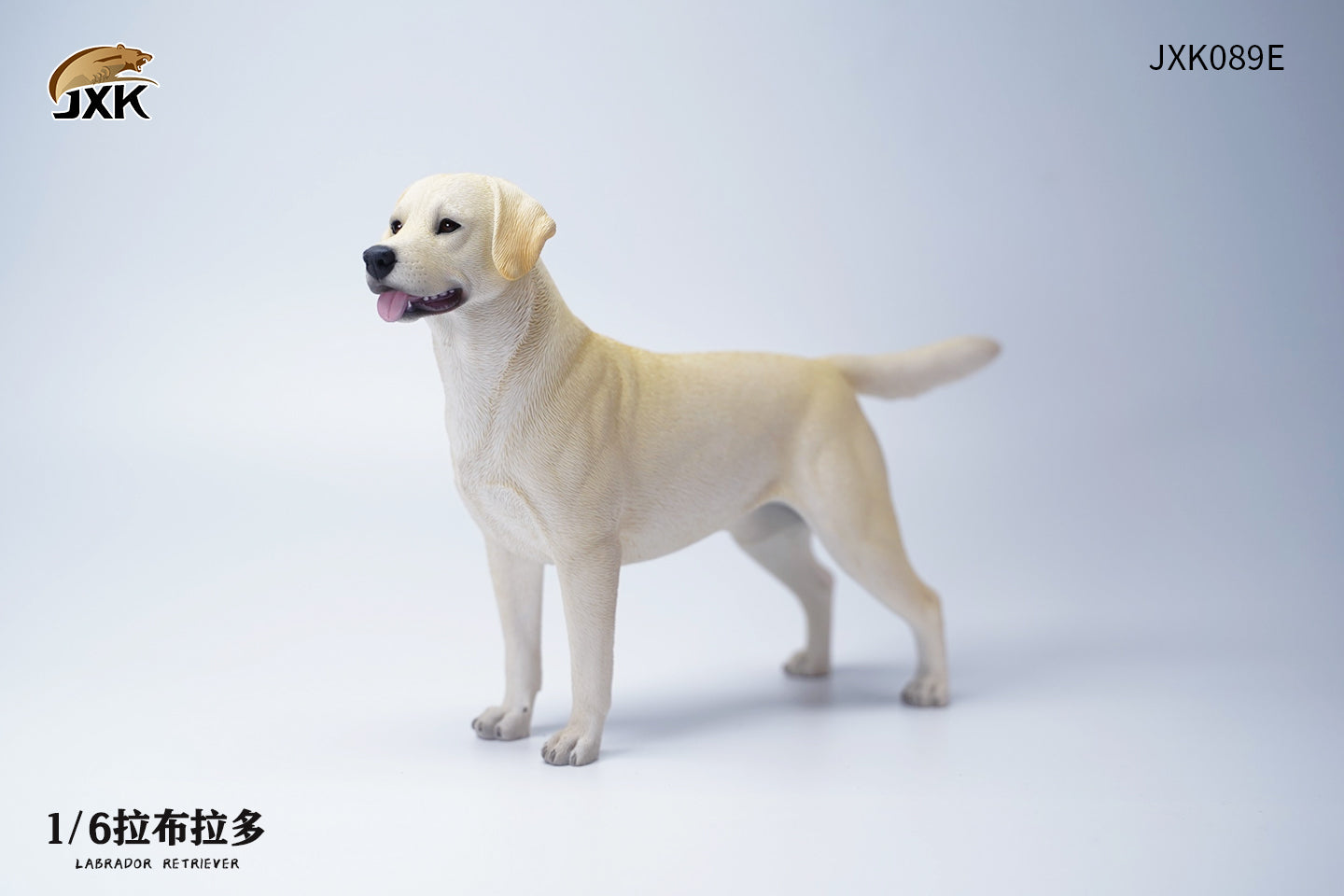 JXK 089 1/6 Labrador