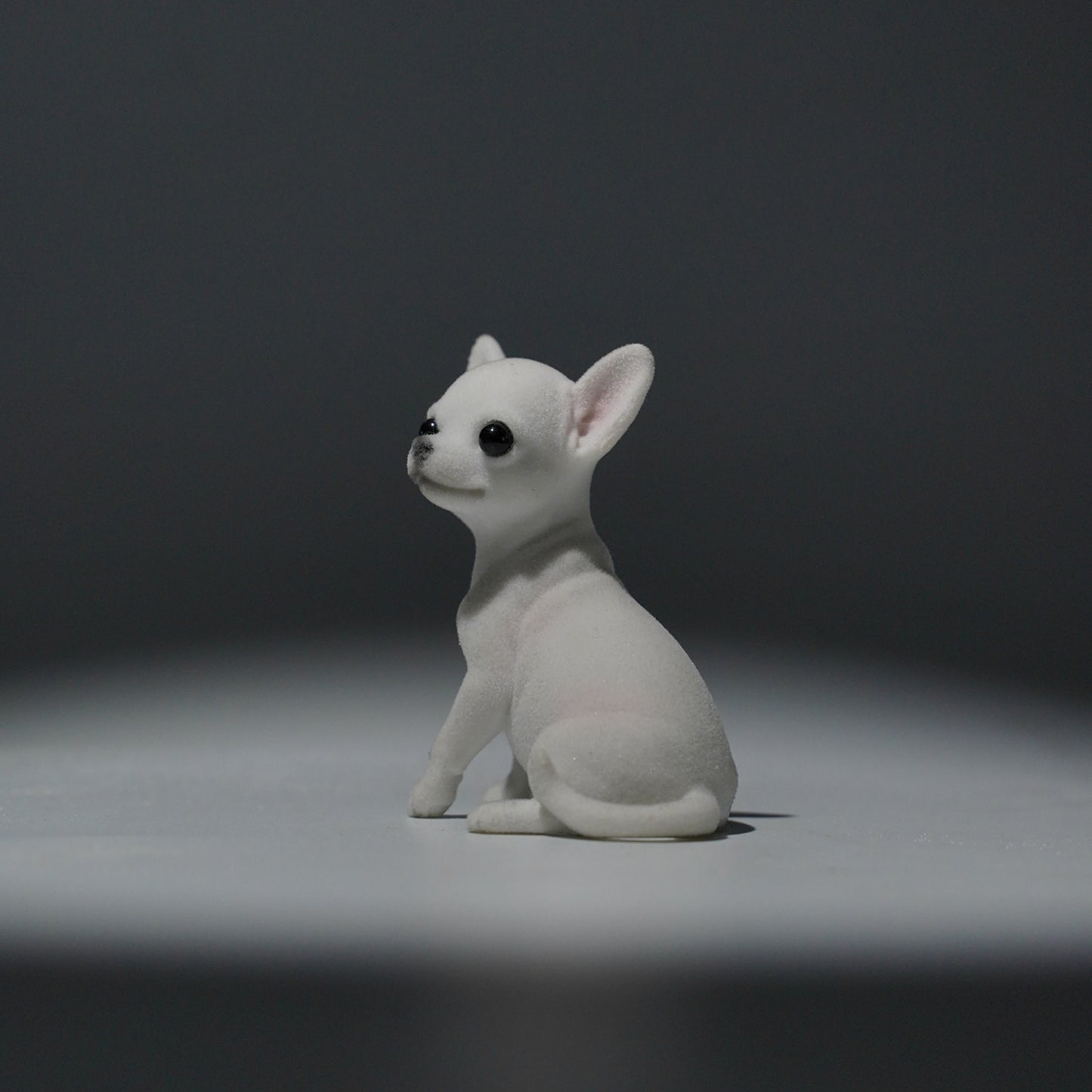 JXK2034   チワワ     JXK Studio出品