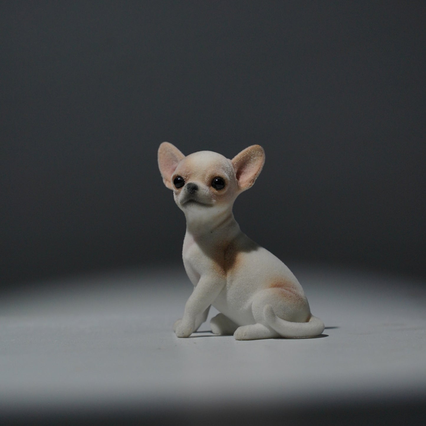 JXK2034   チワワ     JXK Studio出品