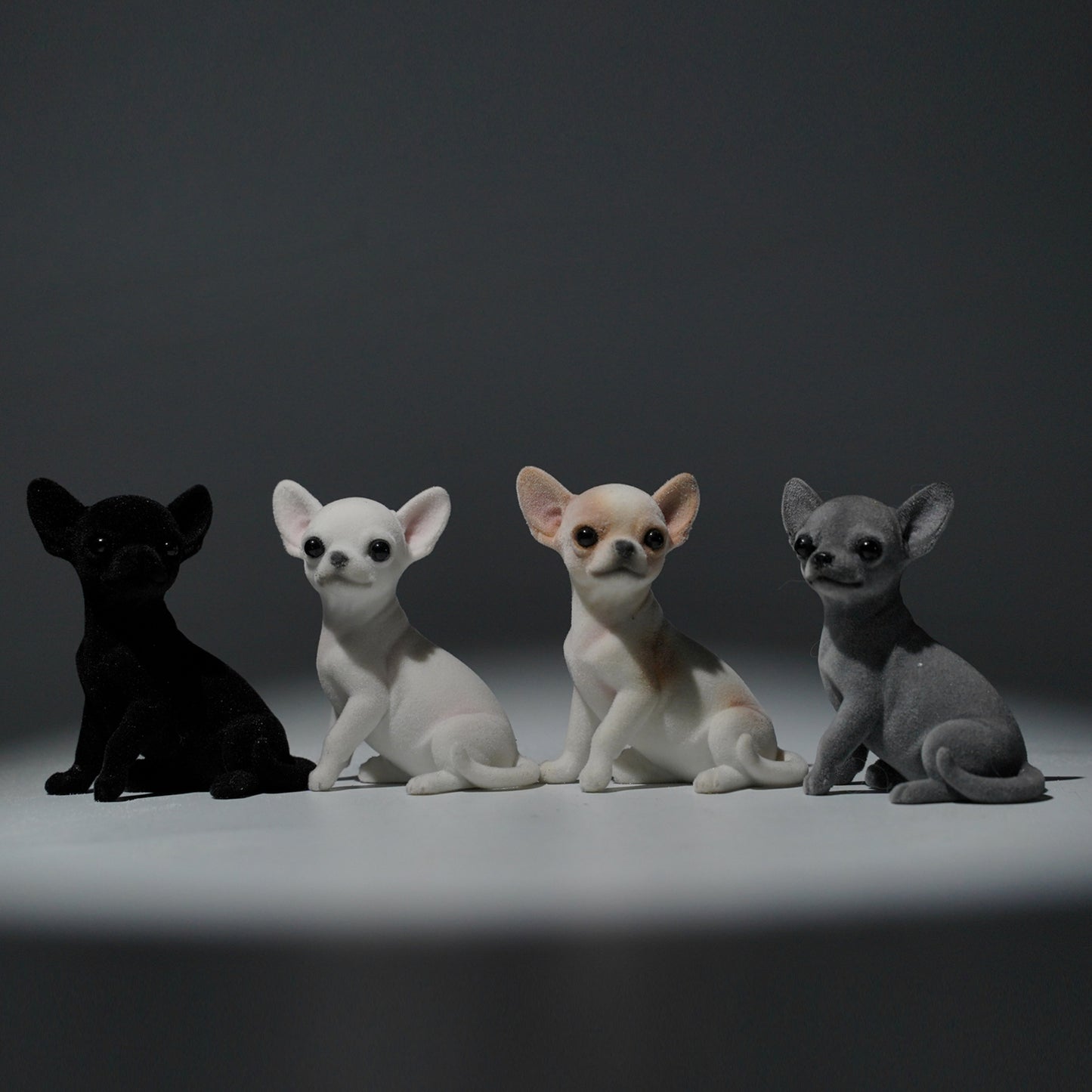 JXK2034   チワワ     JXK Studio出品