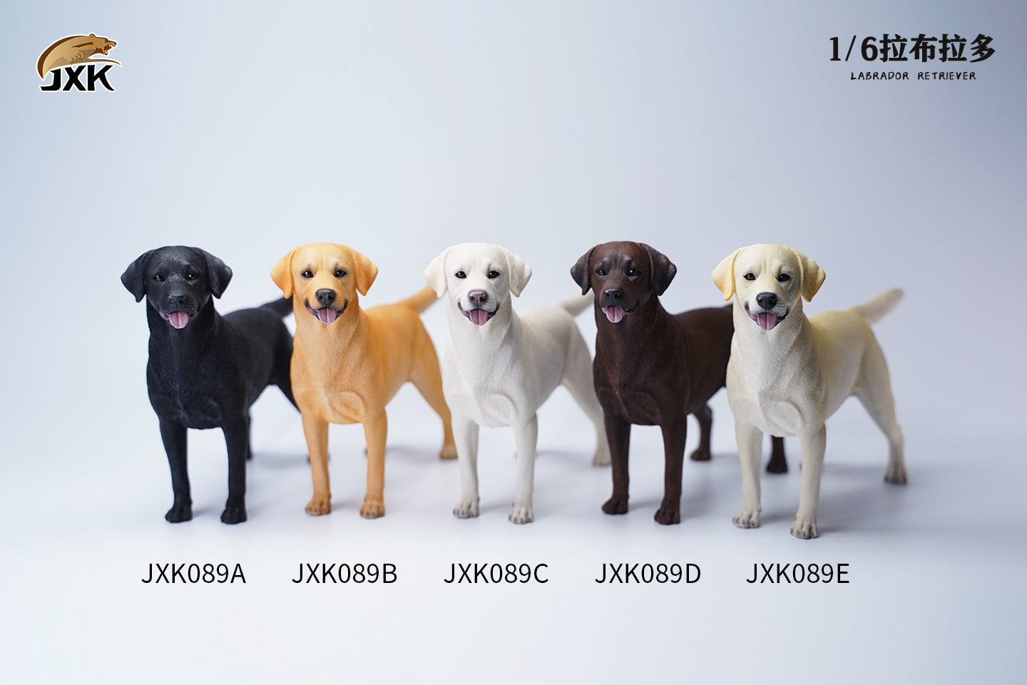 JXK 089 1/6 Labrador