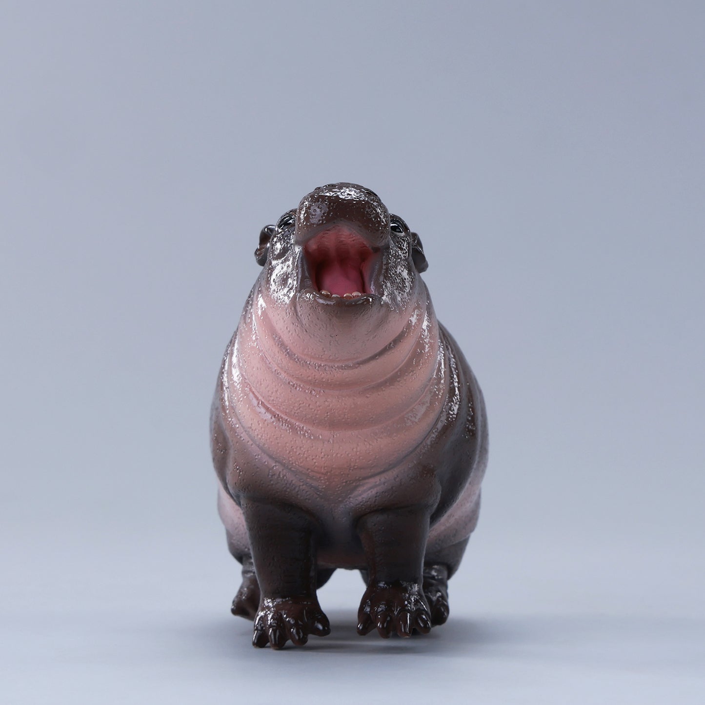 水遊びするカバの赤ちゃんムデン