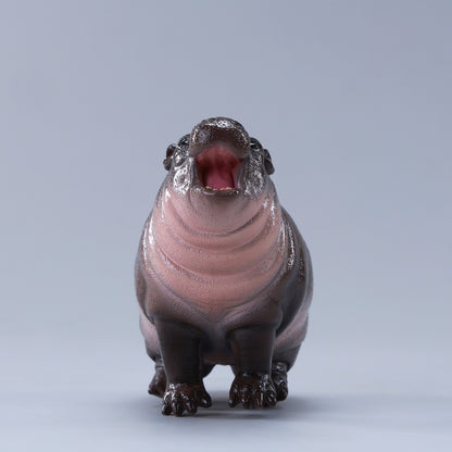 水遊びするカバの赤ちゃんムデン