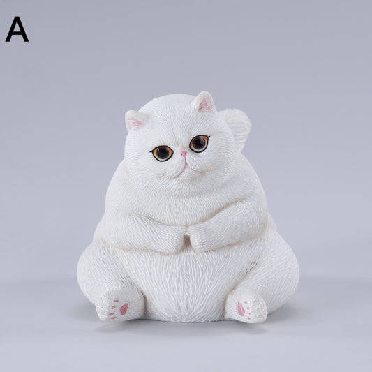 団子猫 JXK291