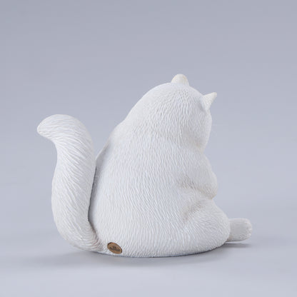 団子猫 JXK291