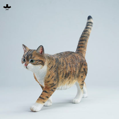 JXK347 1/3 中華田園猫