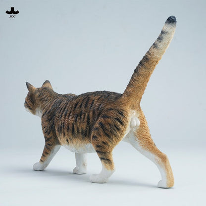 JXK347 1/3 中華田園猫