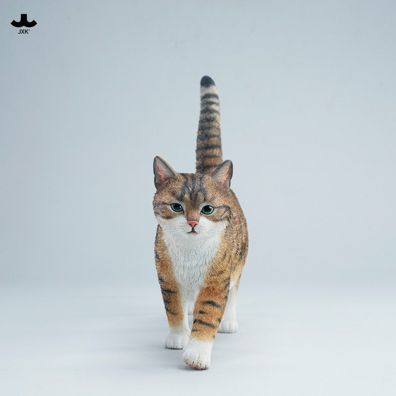 JXK347 1/3 中華田園猫