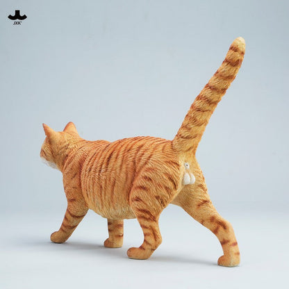 JXK347 1/3 中華田園猫