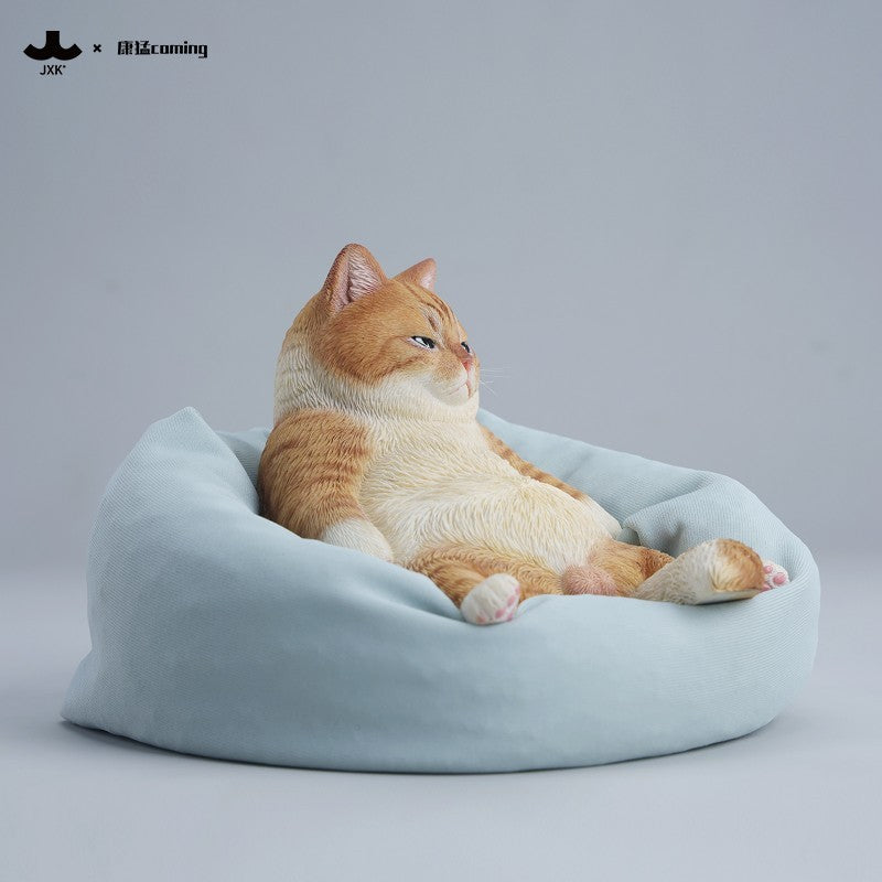 JXK353 午後のまったり猫