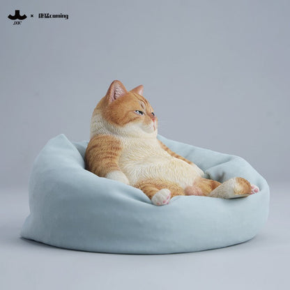 JXK353 午後のまったり猫