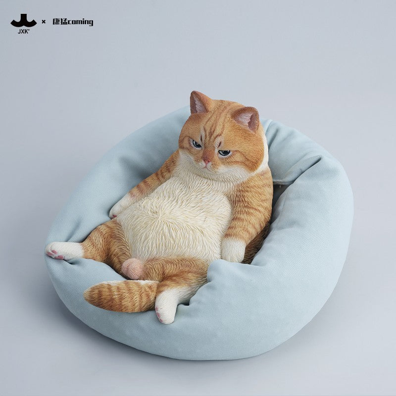 JXK353 午後のまったり猫