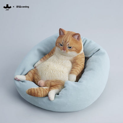 JXK353 午後のまったり猫