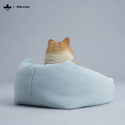 JXK353 午後のまったり猫