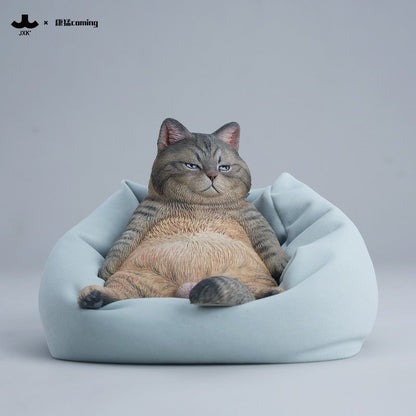 JXK353 午後のまったり猫