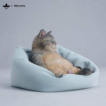 JXK353 午後のまったり猫